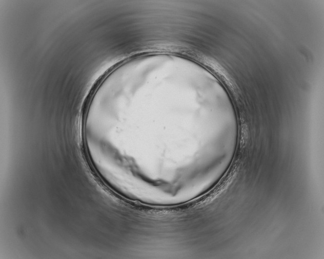 X0000112721079200909101442