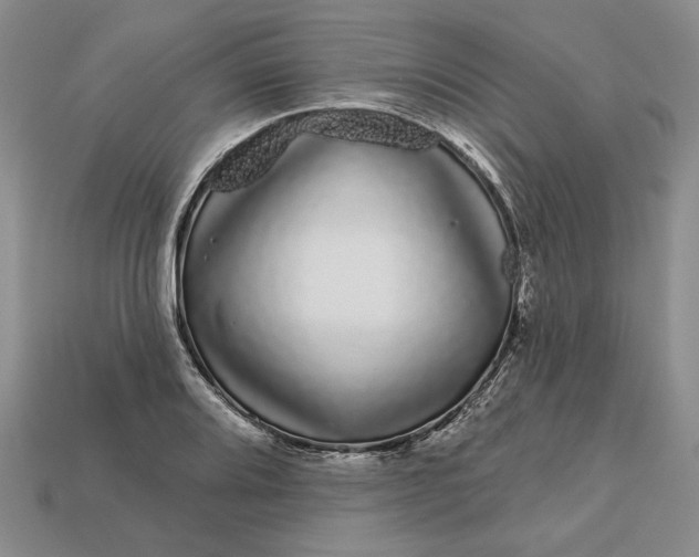 X0000112721080200909101442