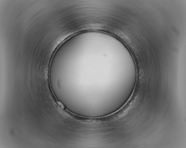 X0000112721081200909101442