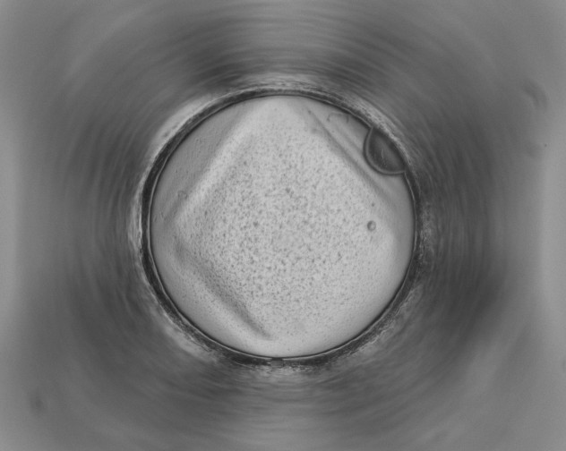 X0000112721082200909101442