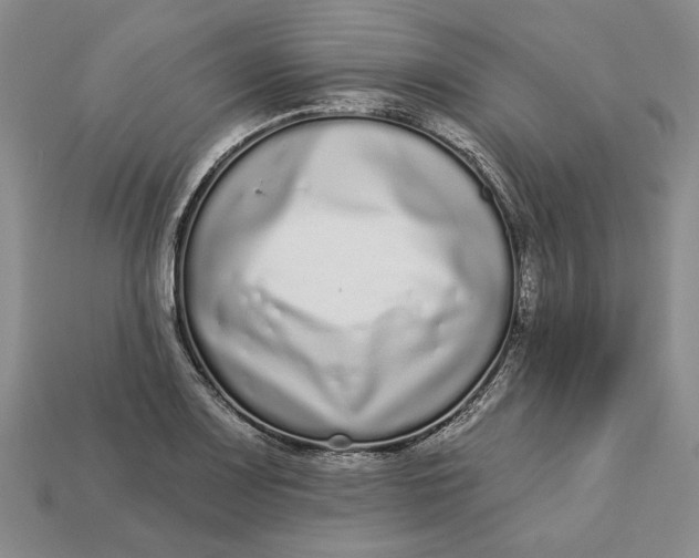 X0000112721083200909101442