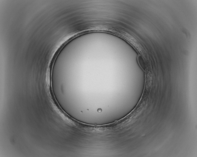 X0000112721084200909101442