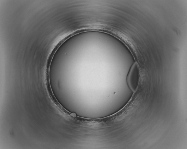 X0000112721085200909101441