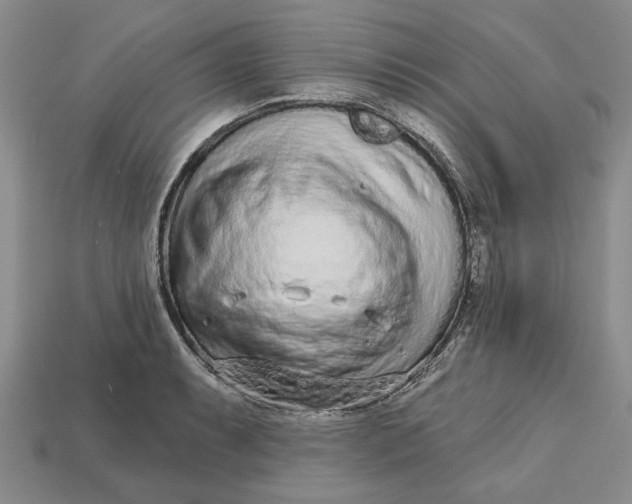 X0000112721087200909101441