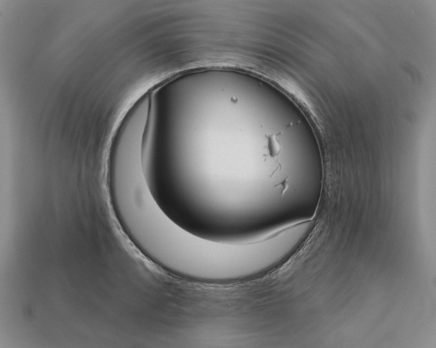 X0000112721088200909101441