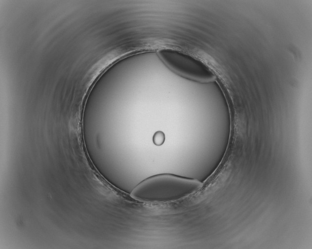 X0000112721089200909101441