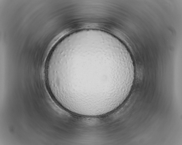 X0000112721090200909101441