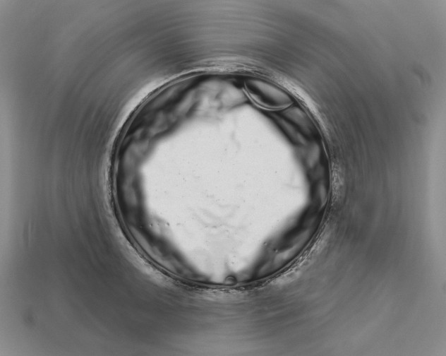 X0000112721091200909101441