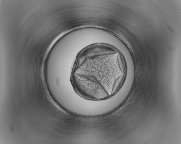 X0000112721092200909101441