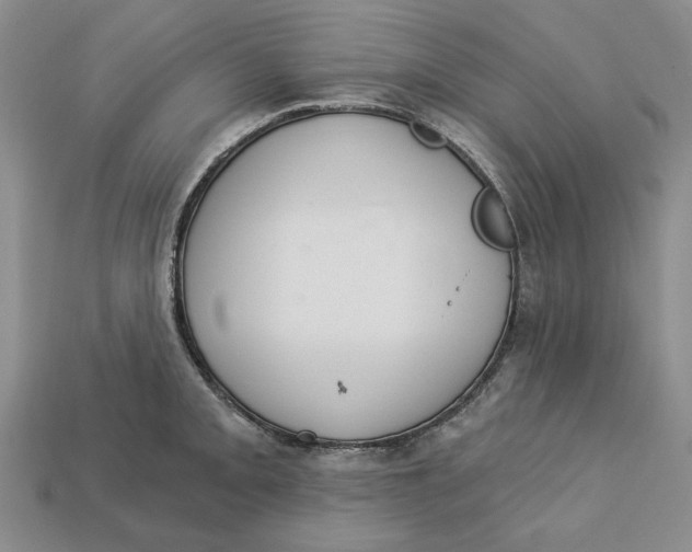 X0000112721093200909101441