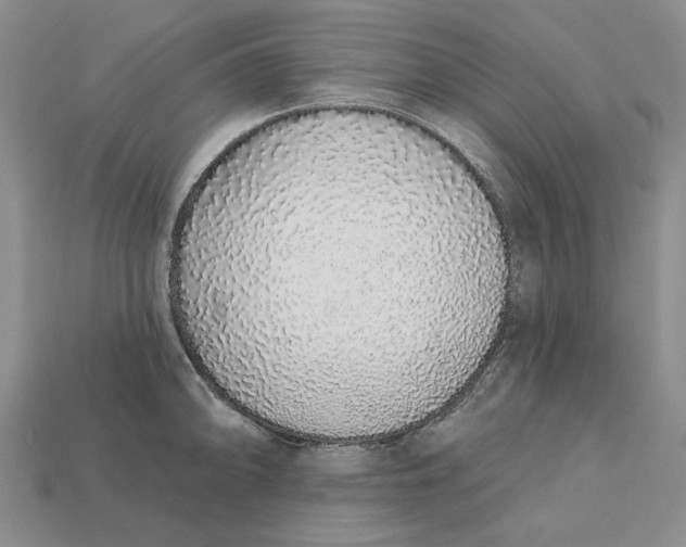 X0000112721094200909101441