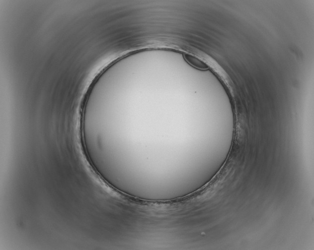 X0000112721096200909101441