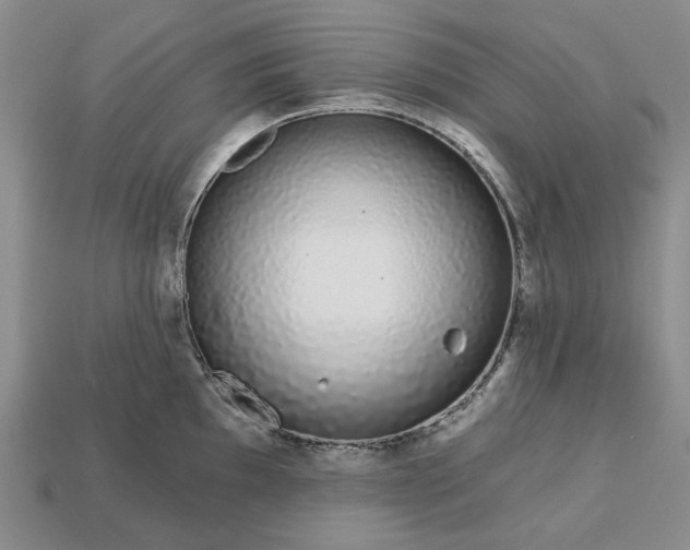 X0000112721097200909101441