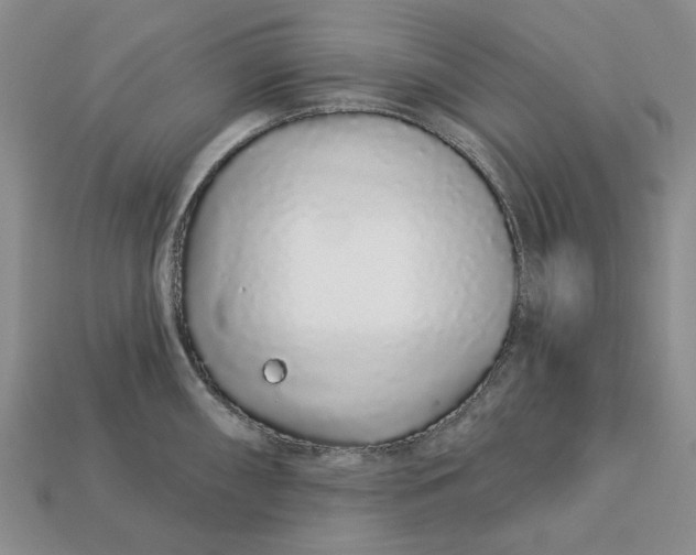 X0000112721098200909101441