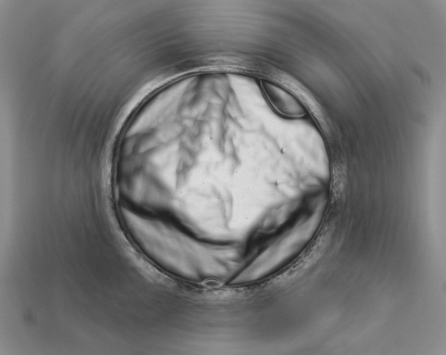 X0000112721099200909101441