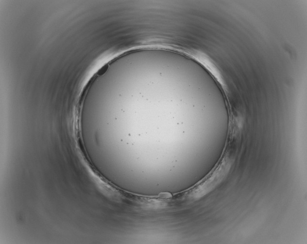 X0000112721101200909101441