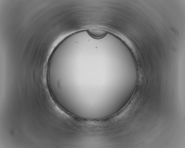 X0000112721102200909101441