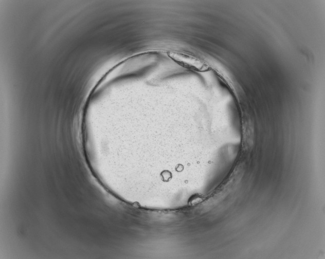 X0000112721103200909101441