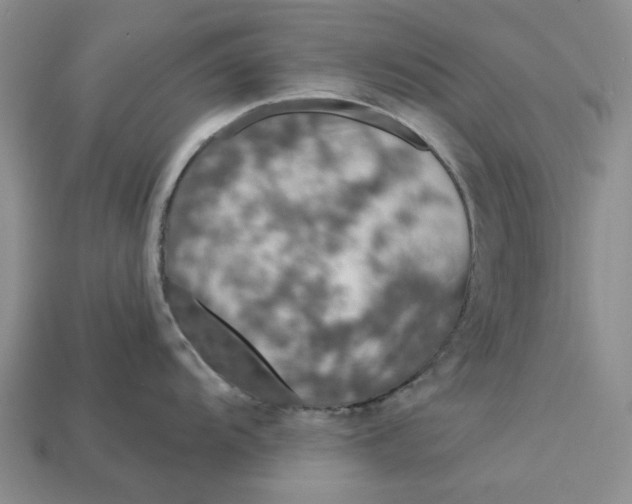 X0000112721104200909101441