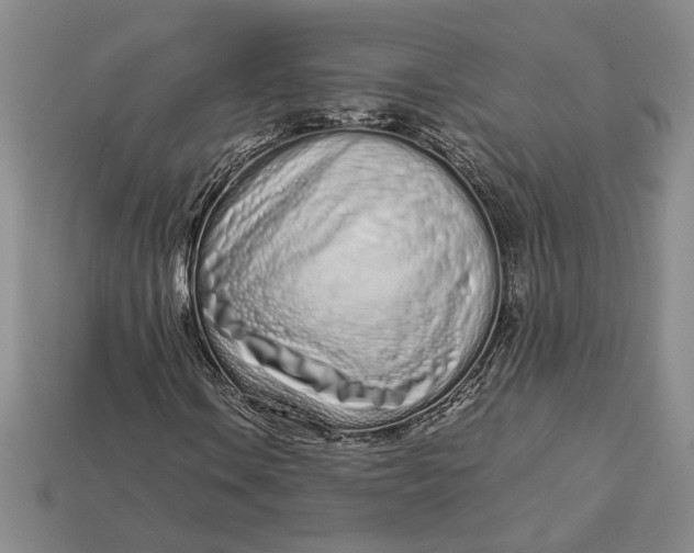 X0000112721106200909101441