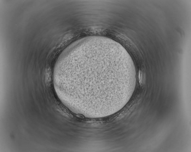 X0000112721107200909101441