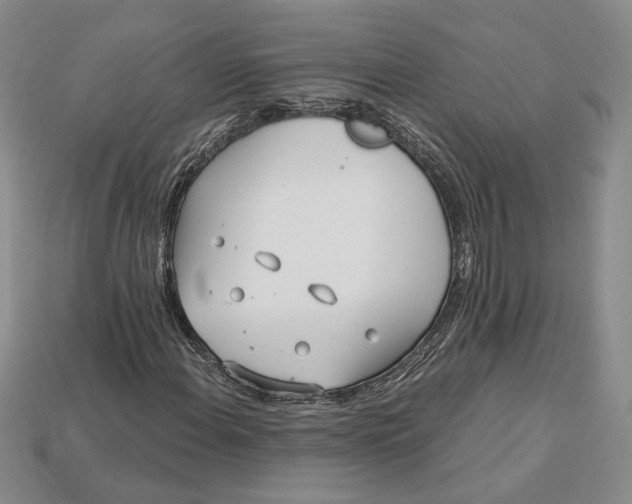 X0000112721108200909101441