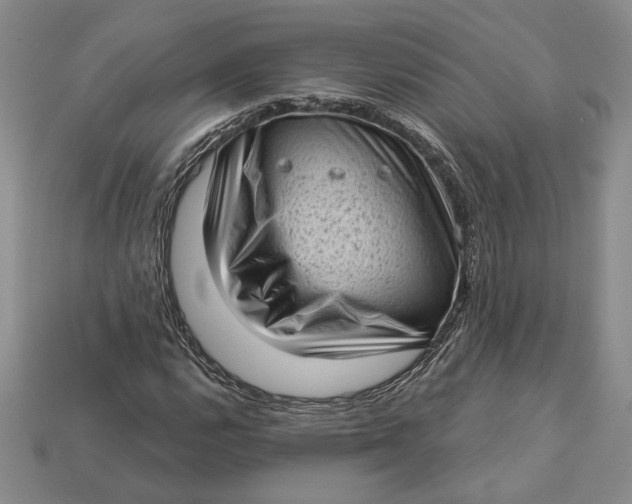 X0000112721112200909101441