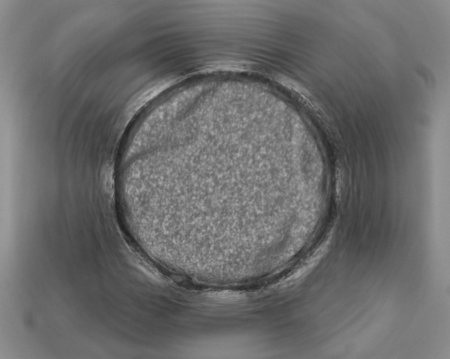 X0000112721113200909101441