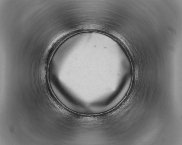 X0000112721115200909101441