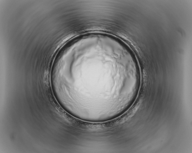 X0000112721121200909101441