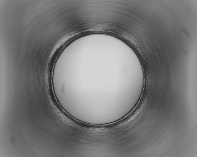 X0000112721122200909101441