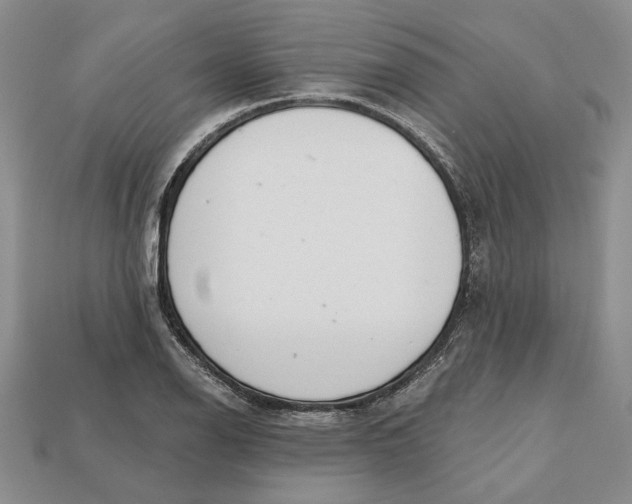 X0000112721126200909101441