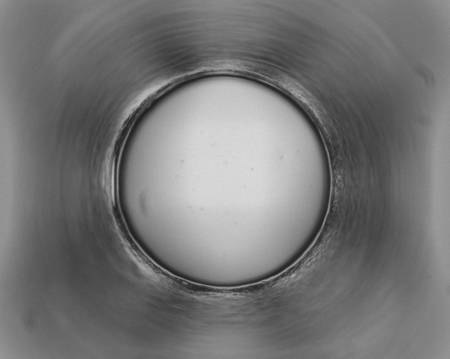 X0000112721127200909101441