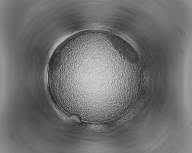 X0000112721128200909101441