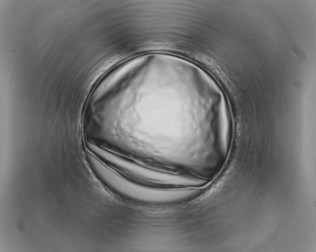 X0000112721129200909101441