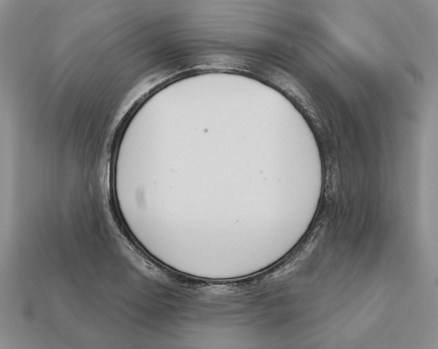 X0000112721130200909101441