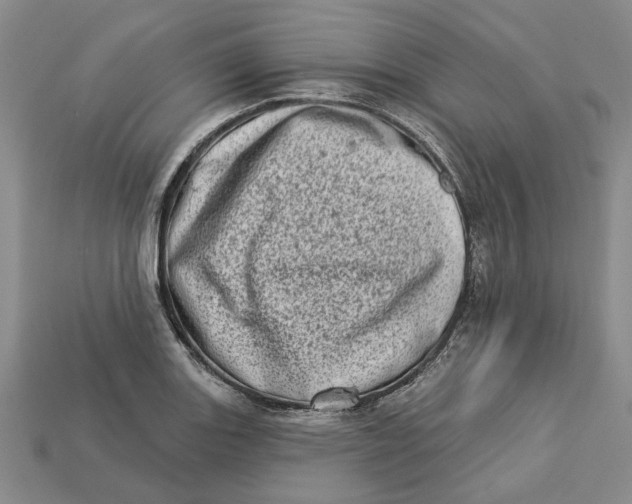 X0000112721131200909101441