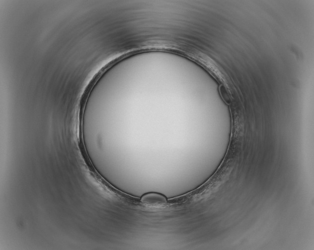 X0000112721132200909101441