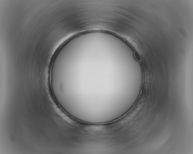 X0000112721134200909101441