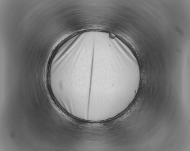 X0000112721135200909101441