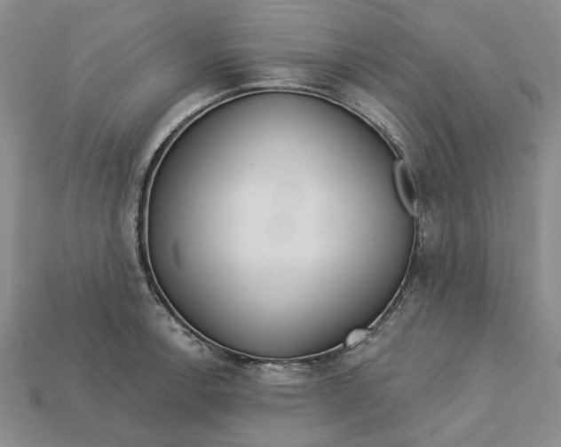 X0000112721138200909101441