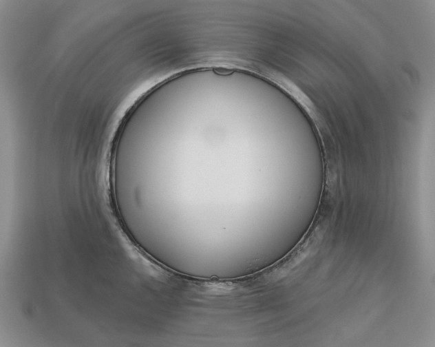 X0000112721144200909101441