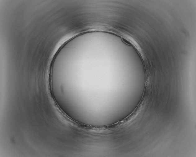 X0000112721146200909101441