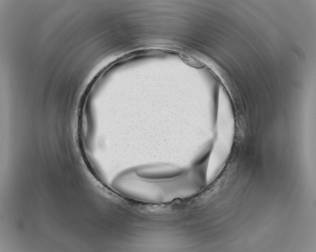 X0000112721147200909101441