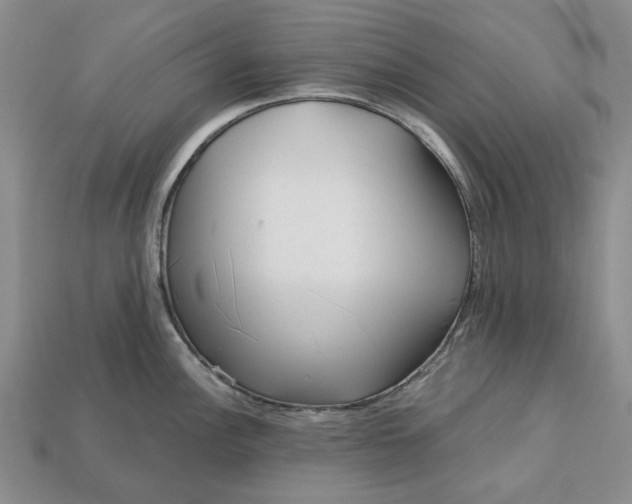 X0000112721148200909101441