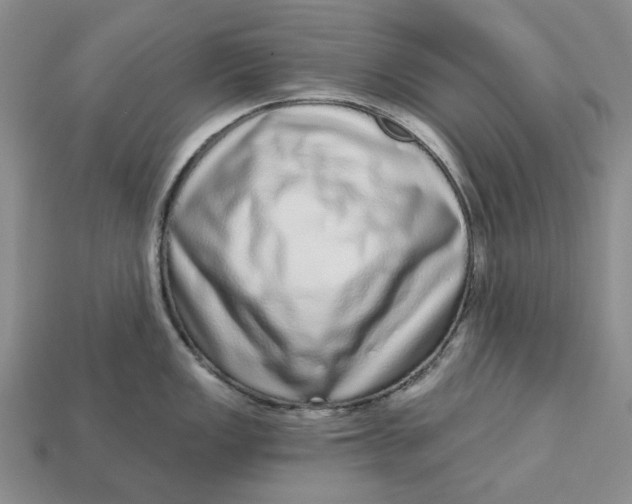 X0000112721149200909101441