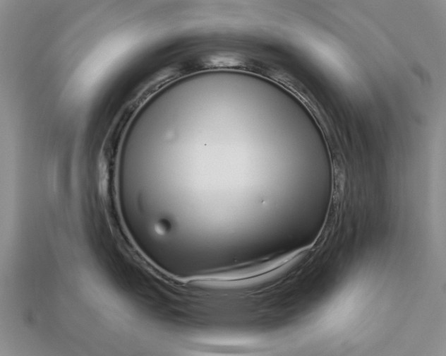 X0000112721151200909101441