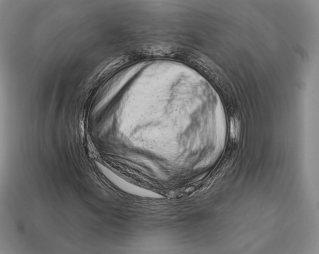 X0000112721155200909101441