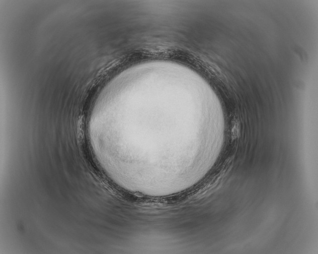 X0000112721156200909101441