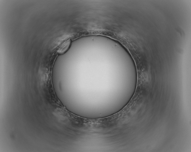 X0000112721157200909101441